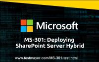 Microsoft MS-301 Practice Exam PDF image 1